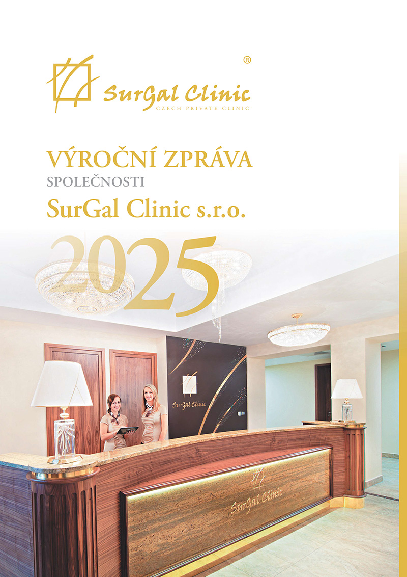 výroční zpráva